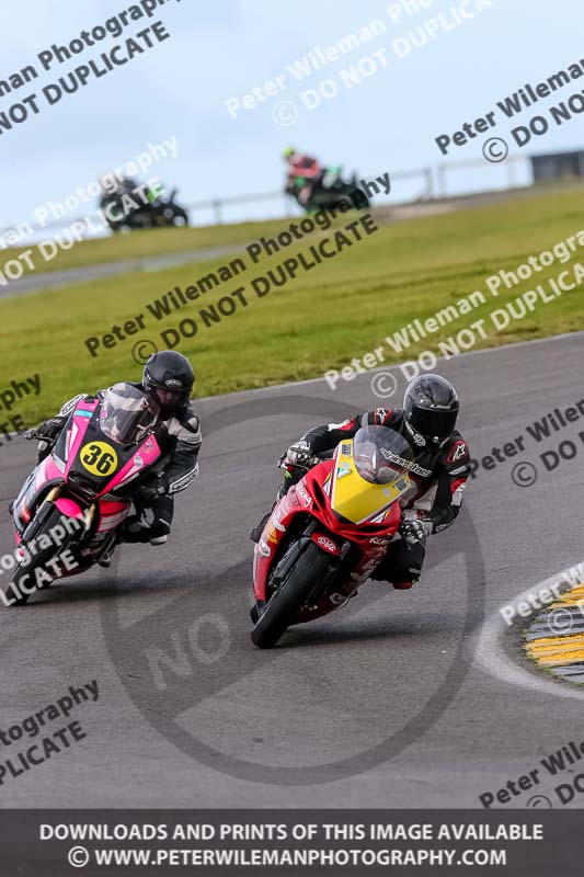 PJ Motorsport 2019;anglesey no limits trackday;anglesey photographs;anglesey trackday photographs;enduro digital images;event digital images;eventdigitalimages;no limits trackdays;peter wileman photography;racing digital images;trac mon;trackday digital images;trackday photos;ty croes